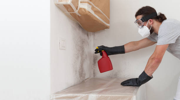 Professional Attic Mold Remediation technician working in Lyndhurst, VA