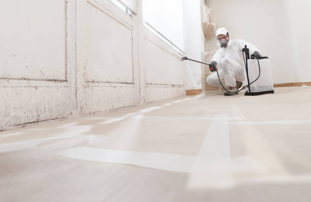 24/7 Emergency Attic Mold Remediation experts in Lyndhurst, VA