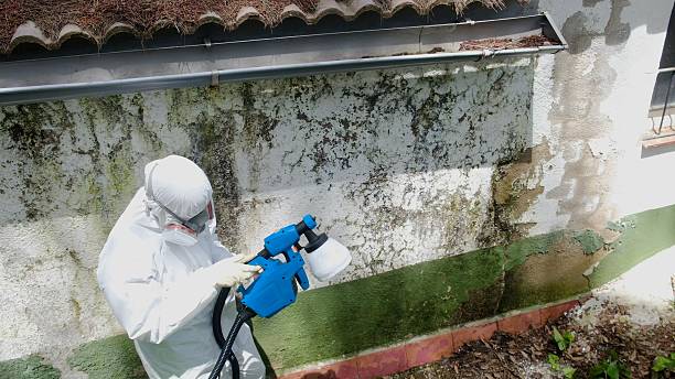 Top rated local Attic Mold Remediation specialists in Lyndhurst, VA